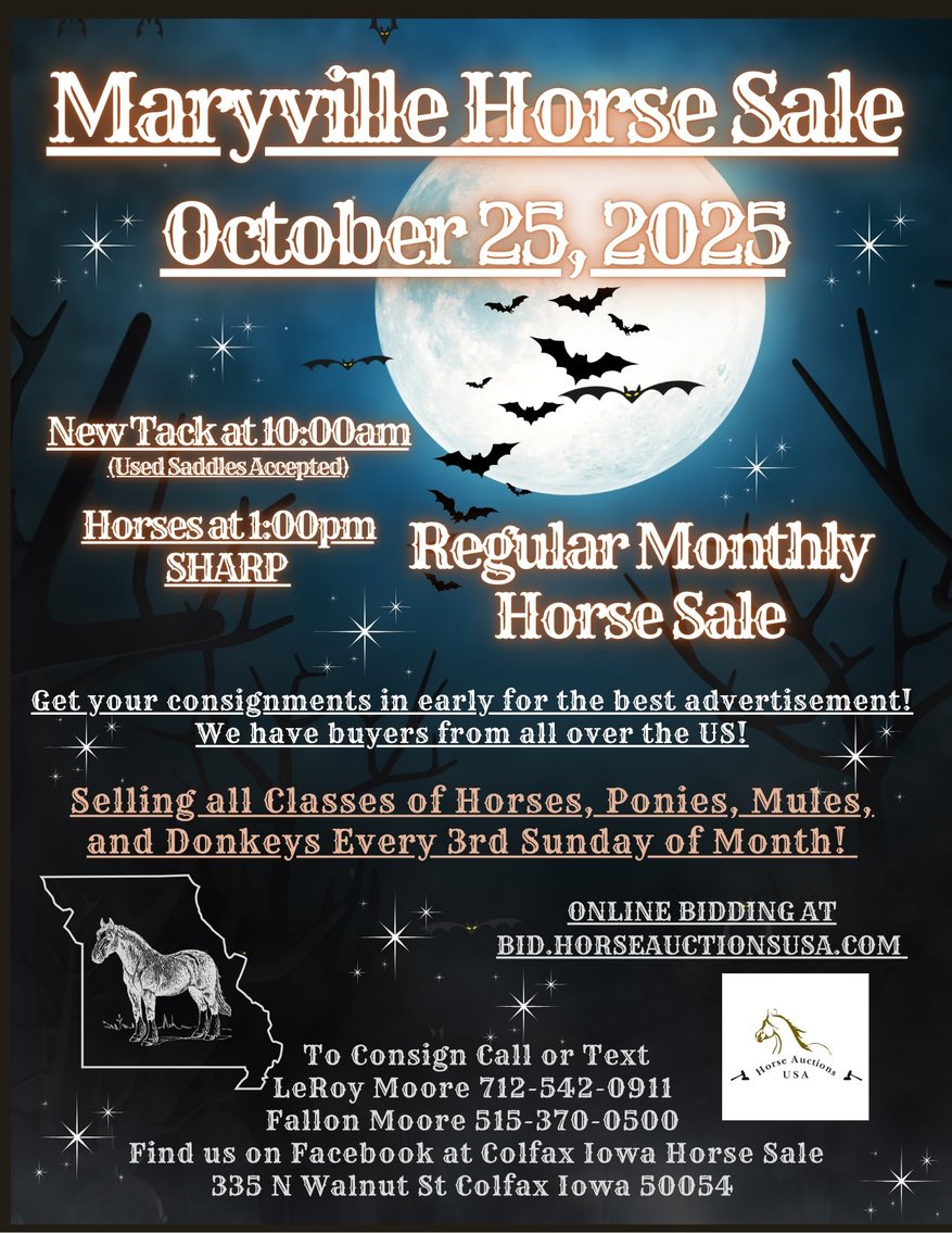 Image for Maryville Horse Sale  - SATURDAY, OCTOBER 25TH - Maryville, Missouri