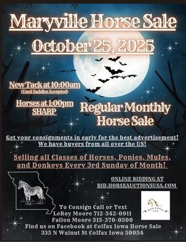 Image for Maryville Horse Sale  - SATURDAY, OCTOBER 25TH - Maryville, Missouri