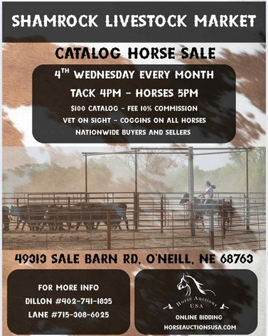 Image for Shamrock Livestock Market Horse Sale - WEDNESDAY, OCTOBER 22ND - O'Neill, Nebraska