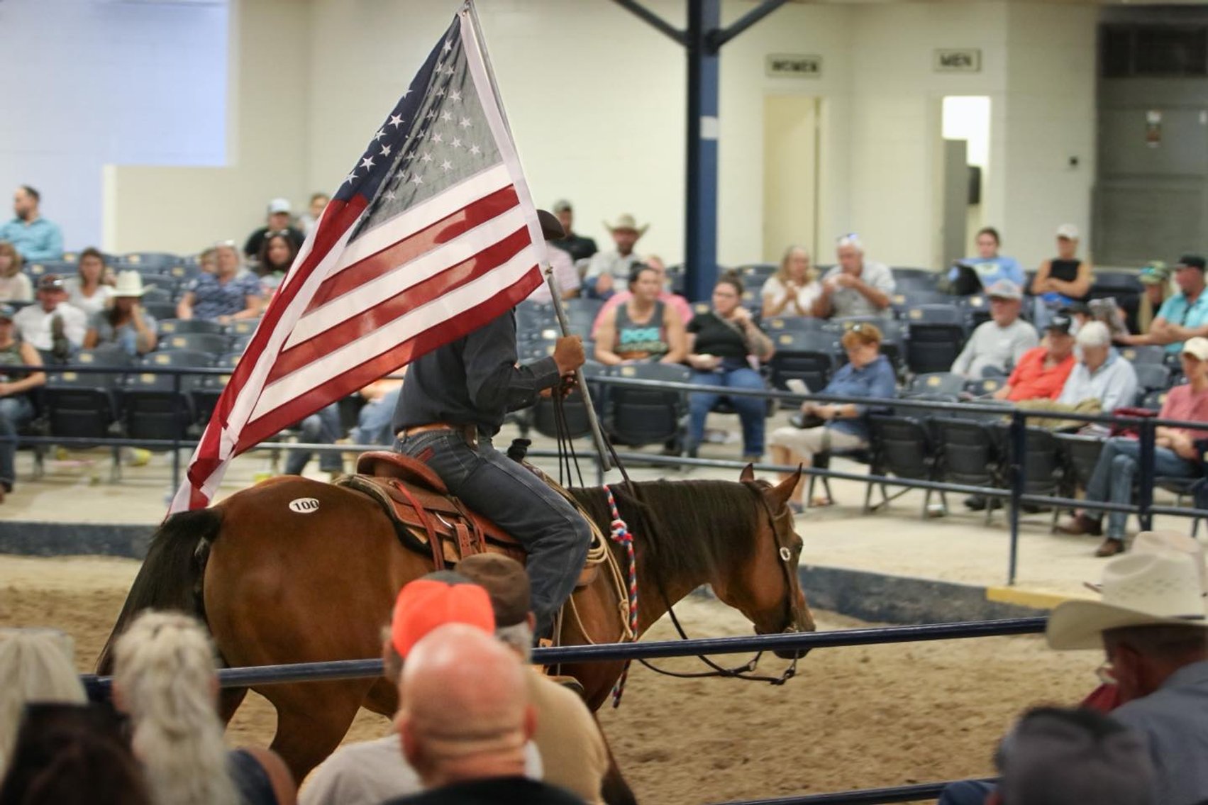 Image for Ocala Horse Sale - Saturday, November 8th - Ocala, Florida