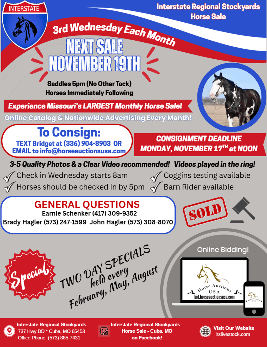 Image for Interstate Regional Stockyards Horse Sale - Cuba, Missouri WEDNESDAY NOVEMBER 19TH