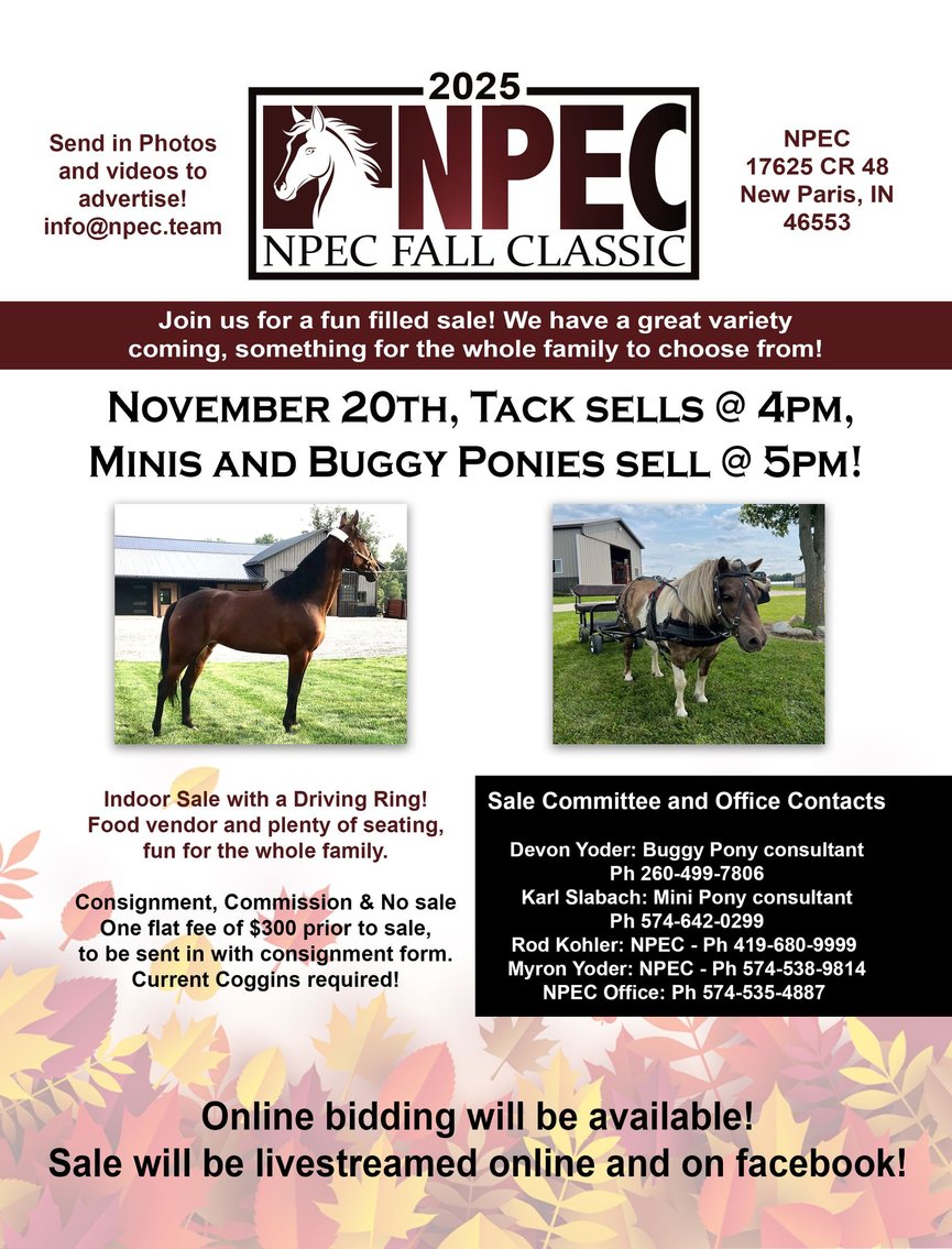 Image for NPEC Fall Classic Pony & Mini SPECIAL - New Paris, Indiana - SALE DAY THURSDAY, NOVEMBER 20TH