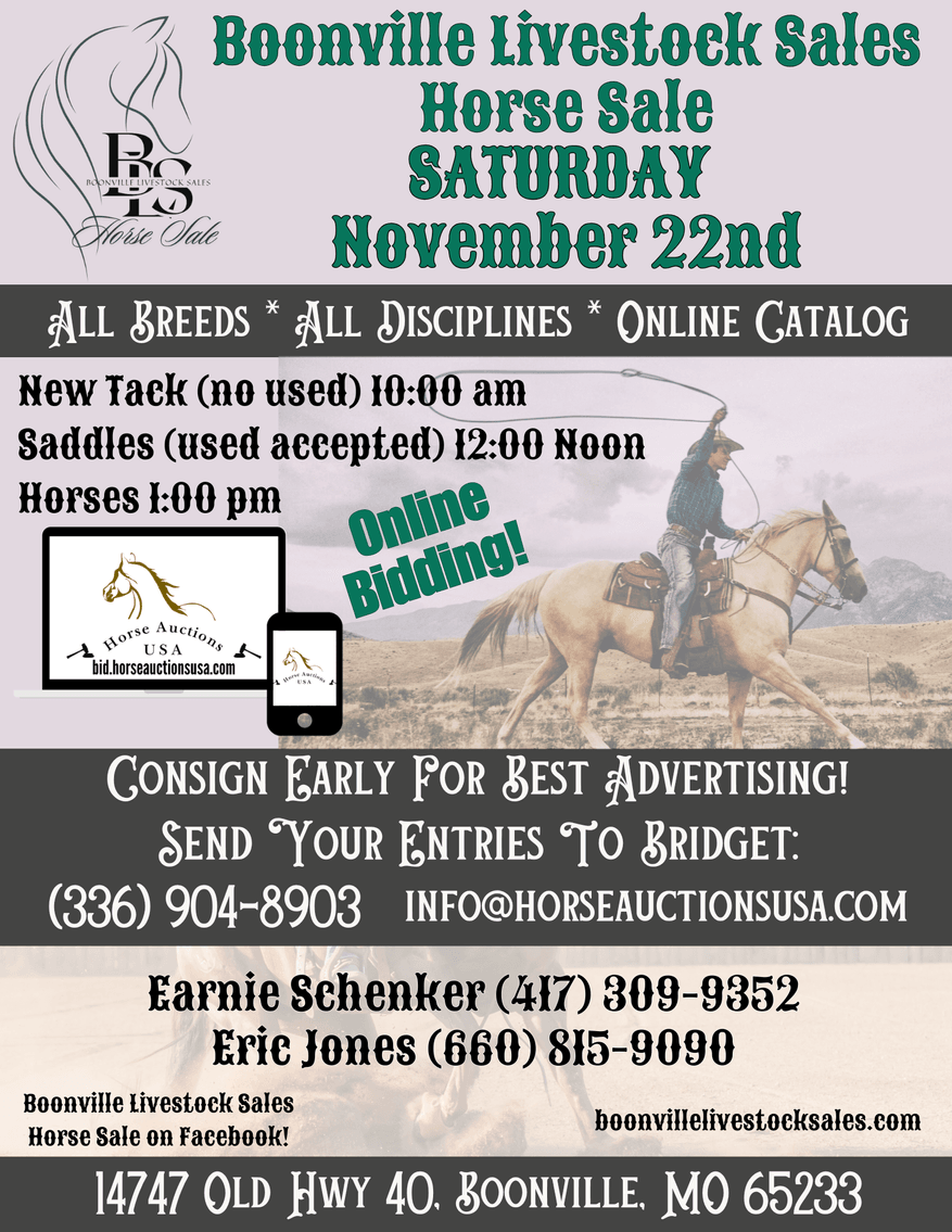 Image for Boonville Livestock Sales Fall Horse Sale - SATURDAY, NOVEMBER 22ND - Boonville, MO