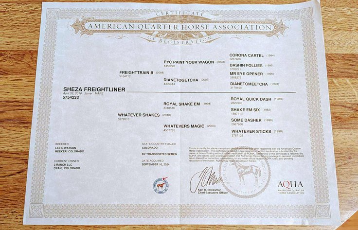 Image for Jones Livestock Auction HORSE & TACK SALE!   SATURDAY, NOVEMBER 8TH!