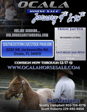 Image for Ocala Horse Sale Winter Sale - Saturday, January 10th - Ocala, Florida
