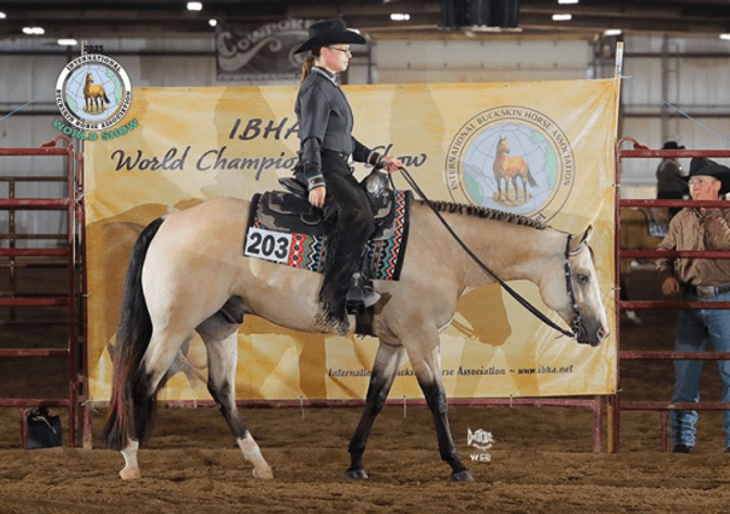 Image for Holiday Registered Horse Sale - SATURDAY, DECEMBER 27TH - Delavan, Illinois