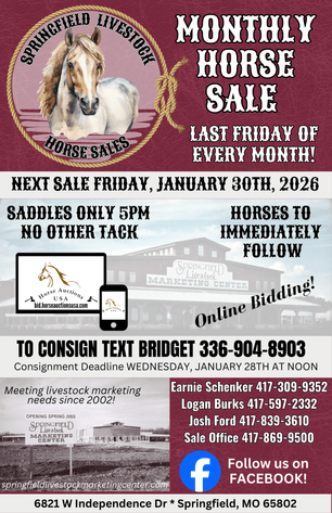 Image for Springfield Livestock Horse Sale FRIDAY JANUARY 30TH - Springfield, MO