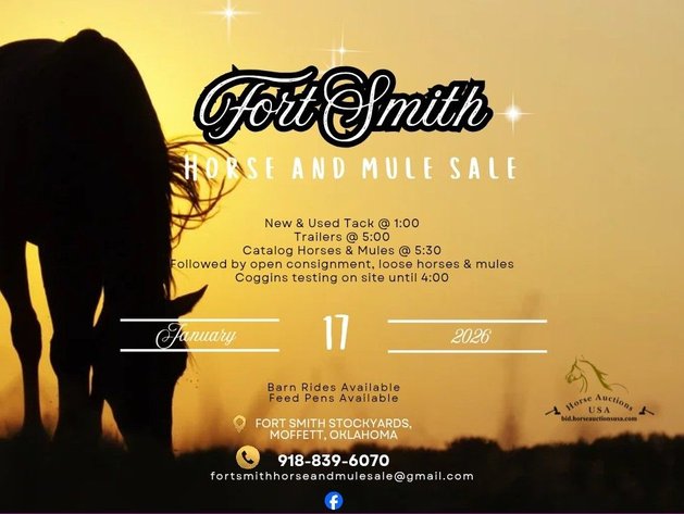 Image for Fort Smith Horse & Mule Sale - SATURDAY, JANUARY 17TH - Moffett, Oklahoma