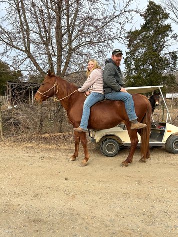 Image for Courtland Tack And Horse Auction January 17,2026