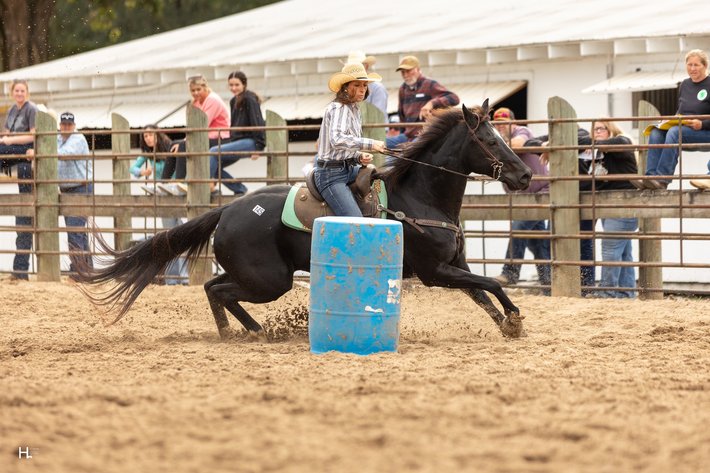 Image for Southwest Horse Sale Spring Catalog Sale - SATURDAY MARCH 28TH - Bush, LA