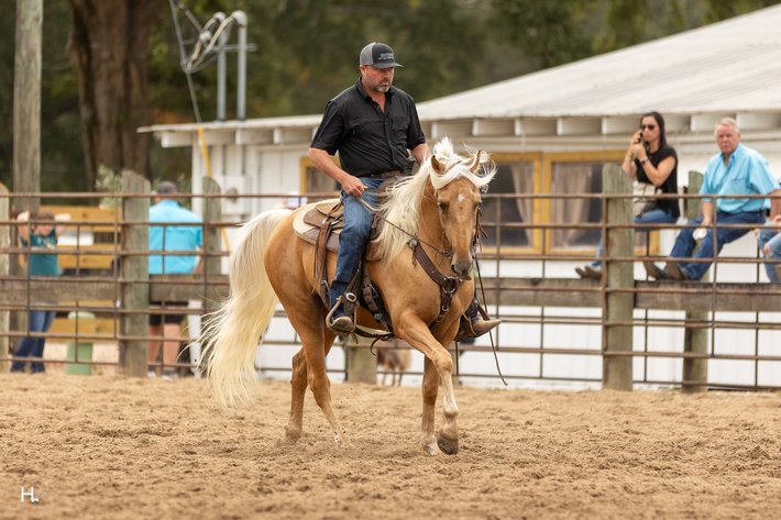 Image for Southwest Horse Sale Spring Catalog Sale - SATURDAY MARCH 28TH - Bush, LA