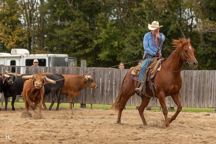 Image for Southwest Horse Sale Spring Catalog Sale - SATURDAY MARCH 28TH - Bush, LA
