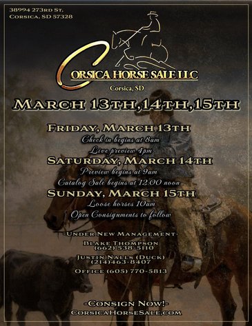 Image for Corsica Horse Sale Two Day March Horse Sale - DAY TWO - SUNDAY, MARCH 15TH - Corsica, South Dakota
