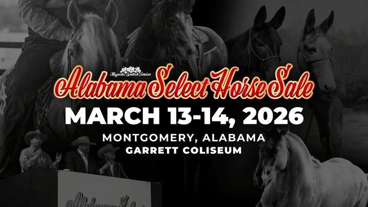 Image for Alabama Select Horse Sale - SATURDAY, MARCH 14TH - Montgomery, AL