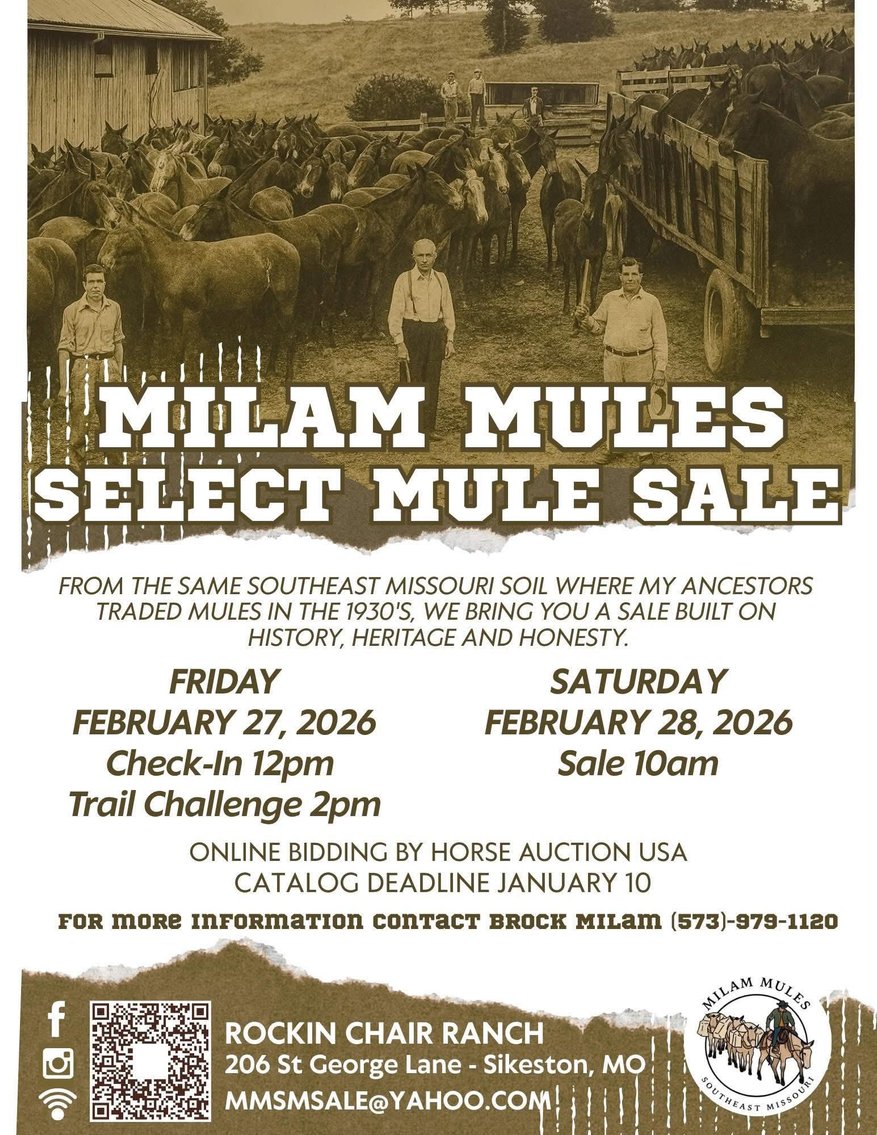Image for Milam Mules Select Mule Sale - Sikeston, Missouri  February 28th