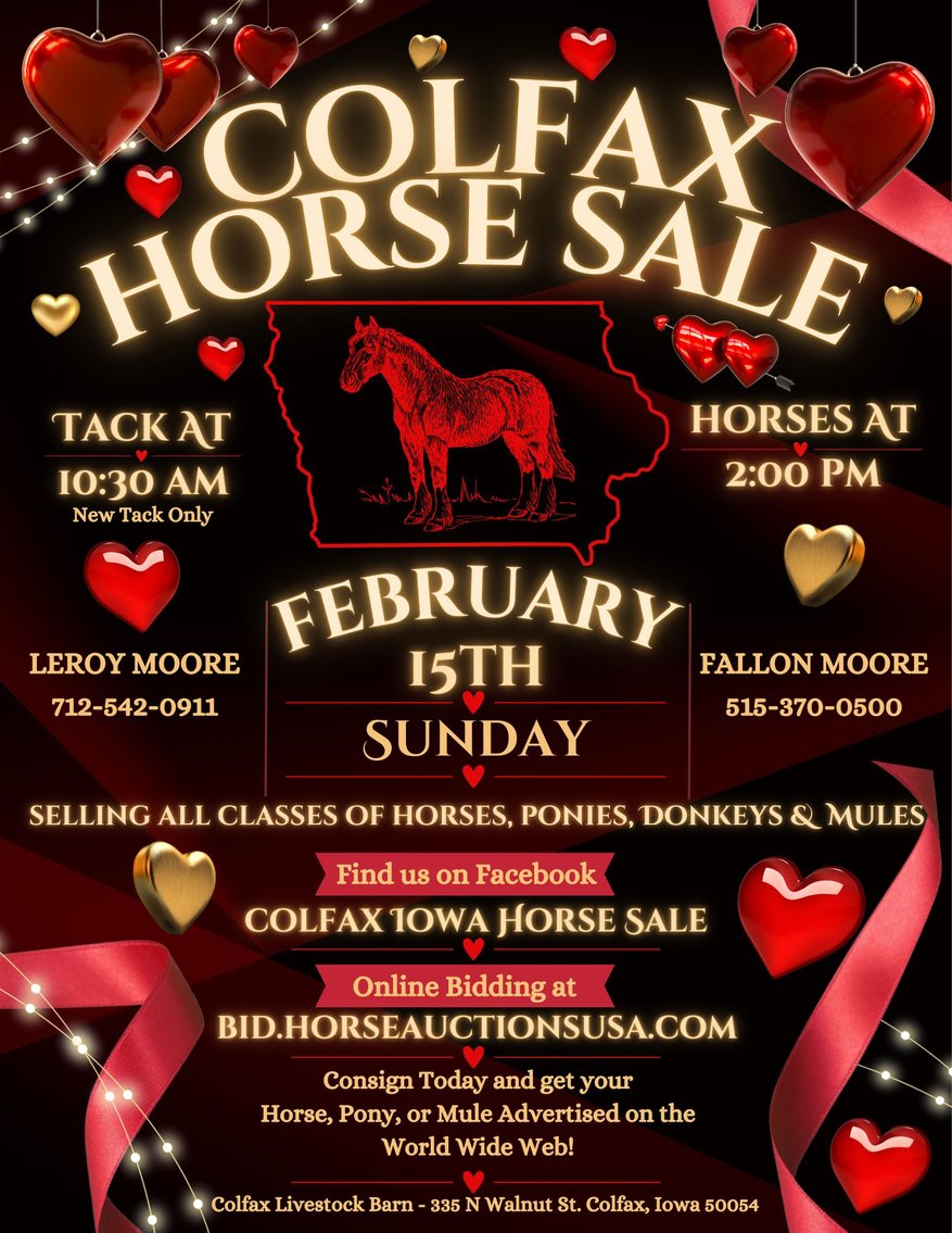 Image for Colfax Horse Sale  - SUNDAY, FEBRUARY 15TH - Colfax, Iowa