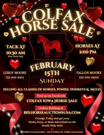 Image for Colfax Horse Sale  - SUNDAY, FEBRUARY 15TH - Colfax, Iowa