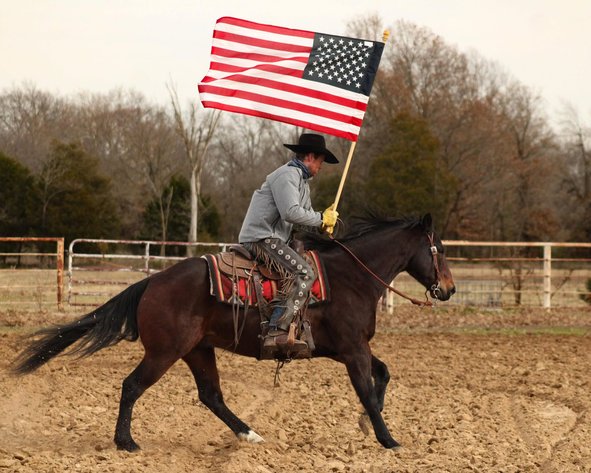 Image for Interstate Regional Stockyards TWO DAY FEBRUARY SPECIAL - DAY 1 - WEDNESDAY FEBRUARY 18TH