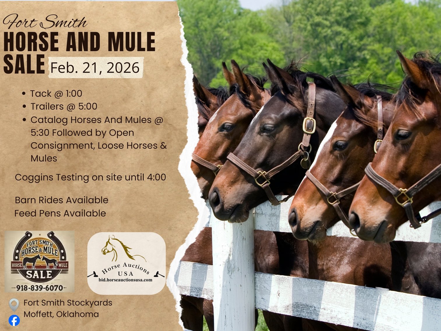 Image for Fort Smith Horse & Mule Sale - SATURDAY, FEBRUARY 21ST - Moffett, Oklahoma