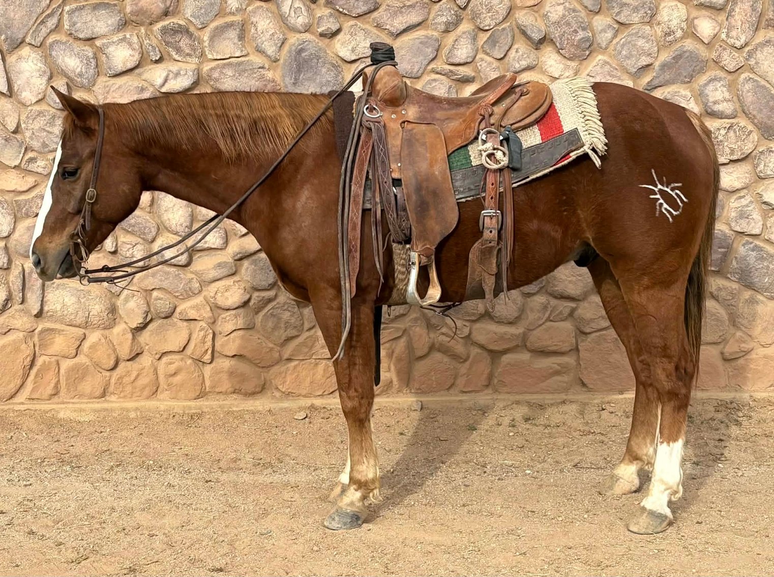 Image for Reno County Stockyards Horse Sale WEDNESDAY, FEBRUARY 11TH - South Hutchinson, KS