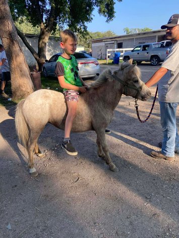Image for Colfax Horse Sale  - SUNDAY, FEBRUARY 15TH - Colfax, Iowa