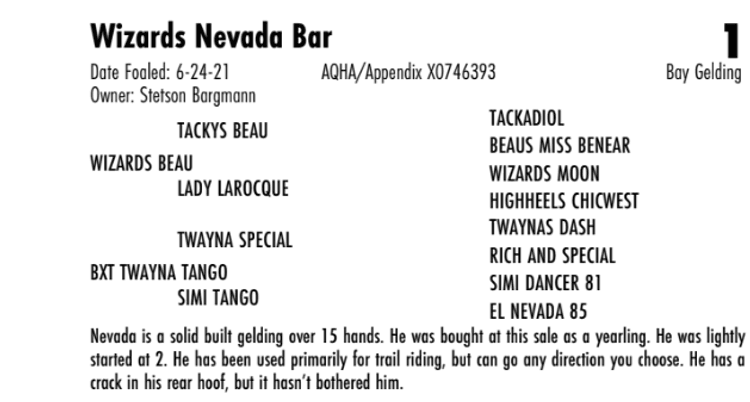 Image for Hermanson-Kist Spring All Breed Horse Sale - Mandan, North Dakota March 21st