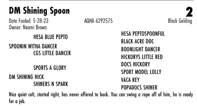 Image for Hermanson-Kist Spring All Breed Horse Sale - Mandan, North Dakota March 21st