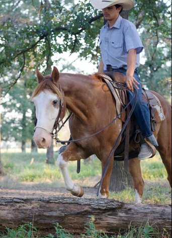 Image for OK Horse Auction Special Sale - SATURDAY, APRIL 4TH - McAlester, Oklahoma