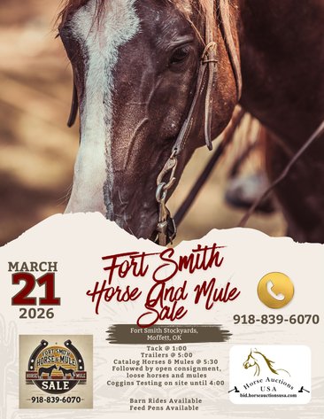 Image for Fort Smith Horse & Mule Sale - SATURDAY, MARCH 21ST - Moffett, Oklahoma