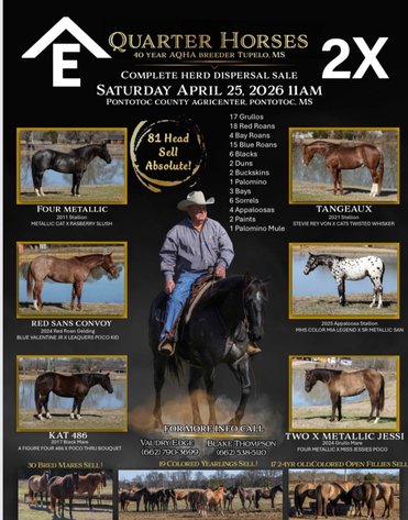 Image for Rafter E Quarter Horses Complete Dispersal - SATURDAY, APRIL 25TH -Pontotoc, Mississippi
