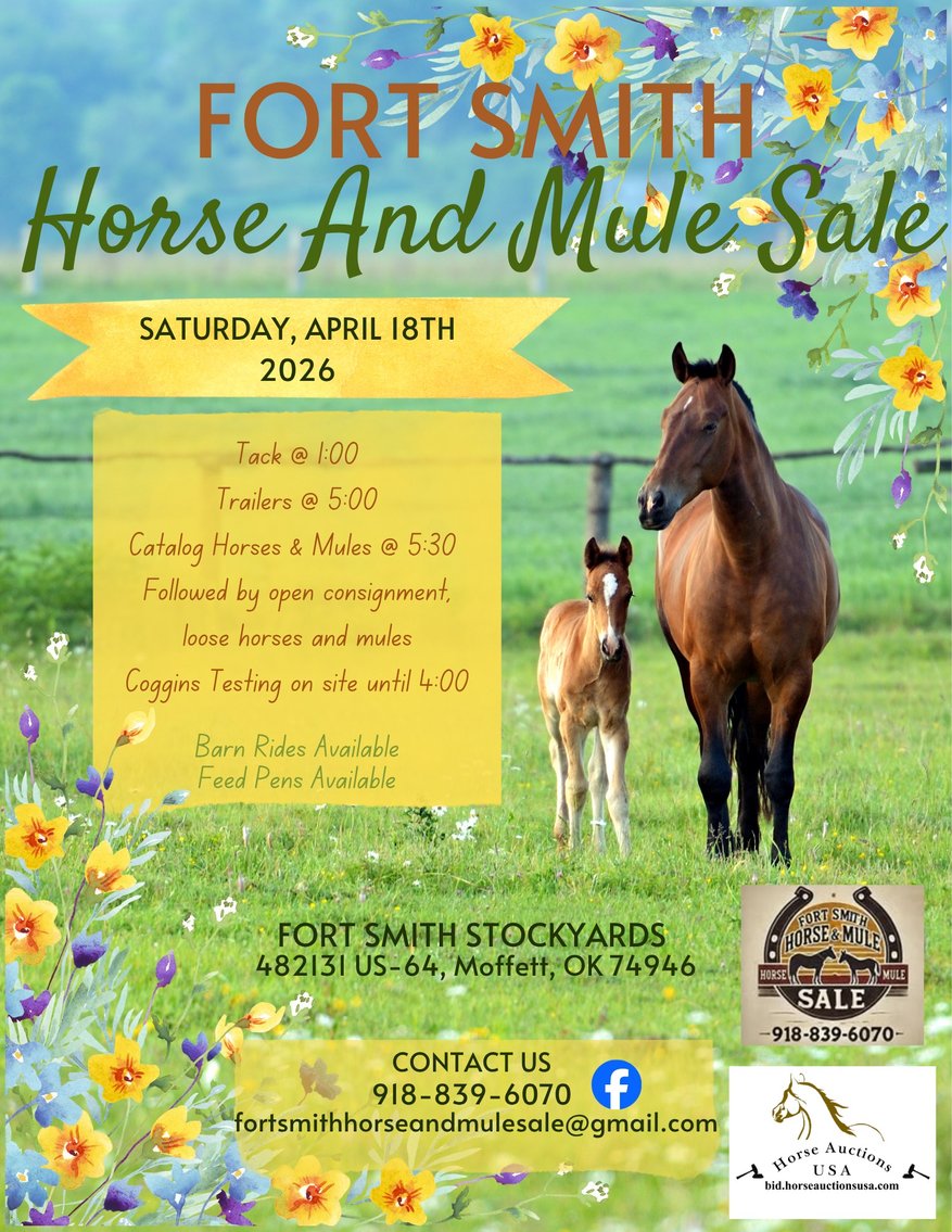 Image for Fort Smith Horse & Mule Sale - SATURDAY, APRIL 18TH - Moffett, Oklahoma