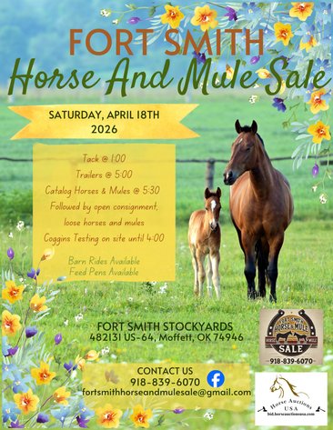 Image for Fort Smith Horse & Mule Sale - SATURDAY, APRIL 18TH - Moffett, Oklahoma