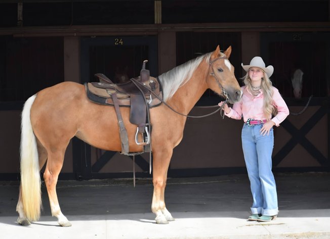 Image for Creston Horse Sale  - SATURDAY, APRIL 11TH - Creston, Iowa