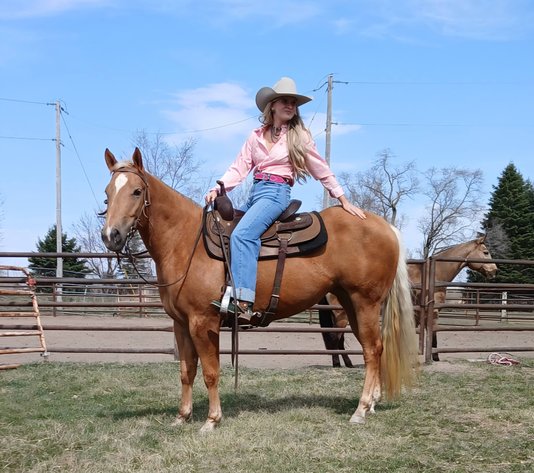 Image for Creston Horse Sale  - SATURDAY, APRIL 11TH - Creston, Iowa