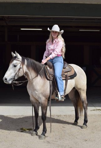 Image for Creston Horse Sale  - SATURDAY, APRIL 11TH - Creston, Iowa