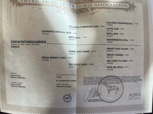 Image for Corsica Horse Sale Two Day April Horse Sale - DAY ONE - SATURDAY, APRIL 11TH - Corsica, South Dakota