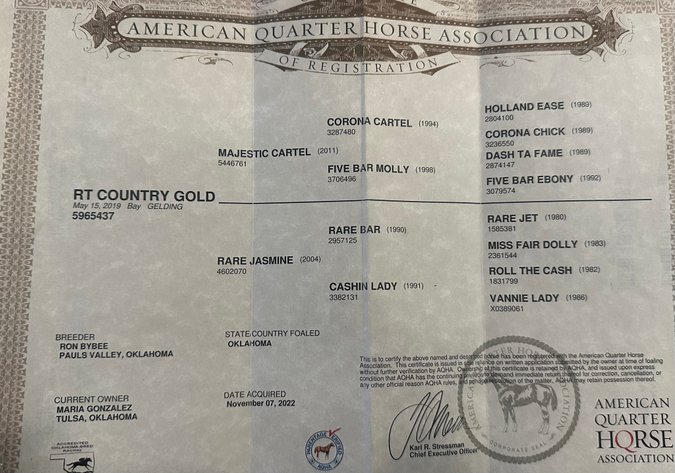 Image for Corsica Horse Sale Two Day April Horse Sale - DAY ONE - SATURDAY, APRIL 11TH - Corsica, South Dakota