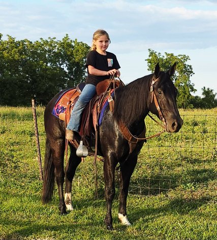 Image for Creston Horse Sale  - SATURDAY, APRIL 11TH - Creston, Iowa