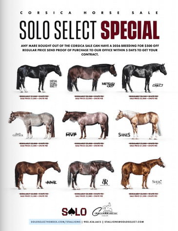Image for Corsica Horse Sale Two Day April Horse Sale - DAY ONE - SATURDAY, APRIL 11TH - Corsica, South Dakota
