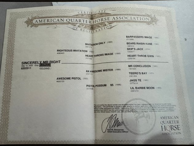 Image for Ocala Horse Sale Spring Sale - Saturday, April 18th - Ocala, Florida