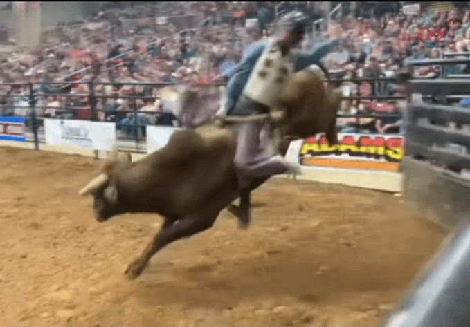 Image for Fort Smith BUCKING STOCK SALE!  Wednesday, April 15th - Fort Smith, Arkansas