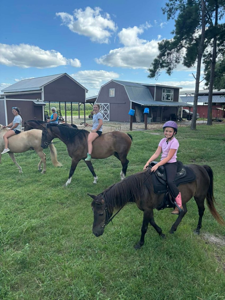 Image for Courtland Tack And Horse Auction Saturday ,April 18 ,2026