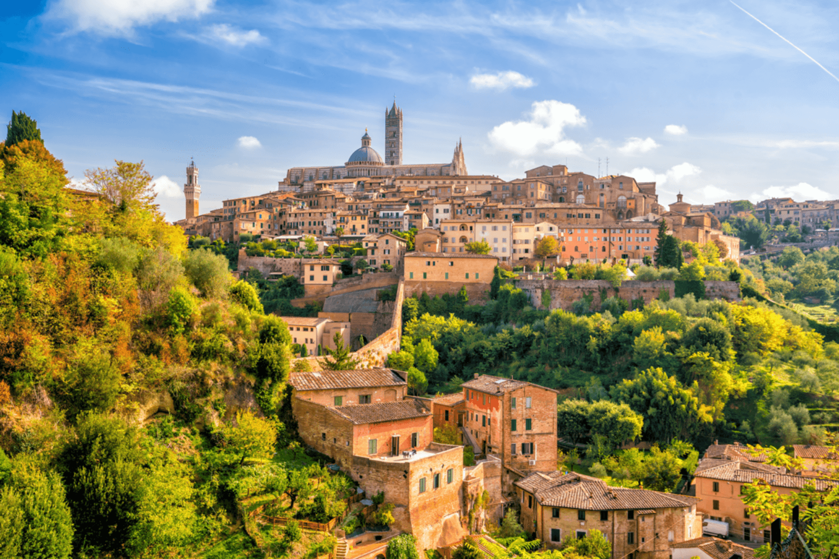 Image for Vacation Passport Raffle - Florida Auctioneers Association