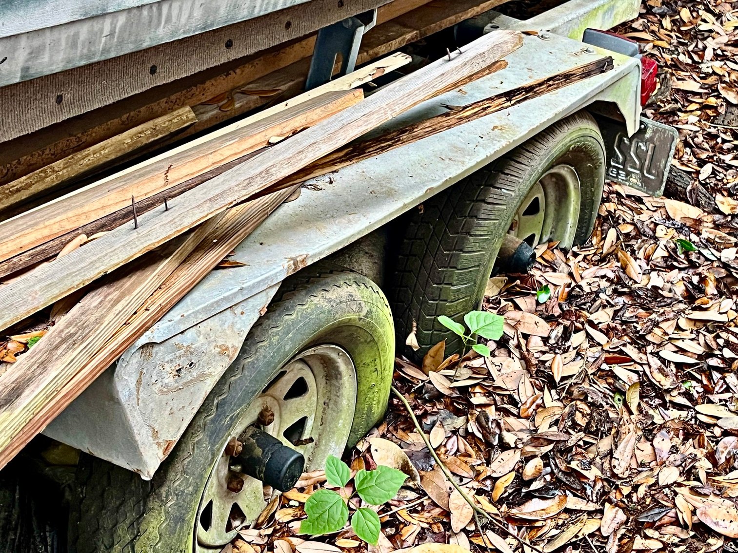 Image for 1982 Cobia Triton 228