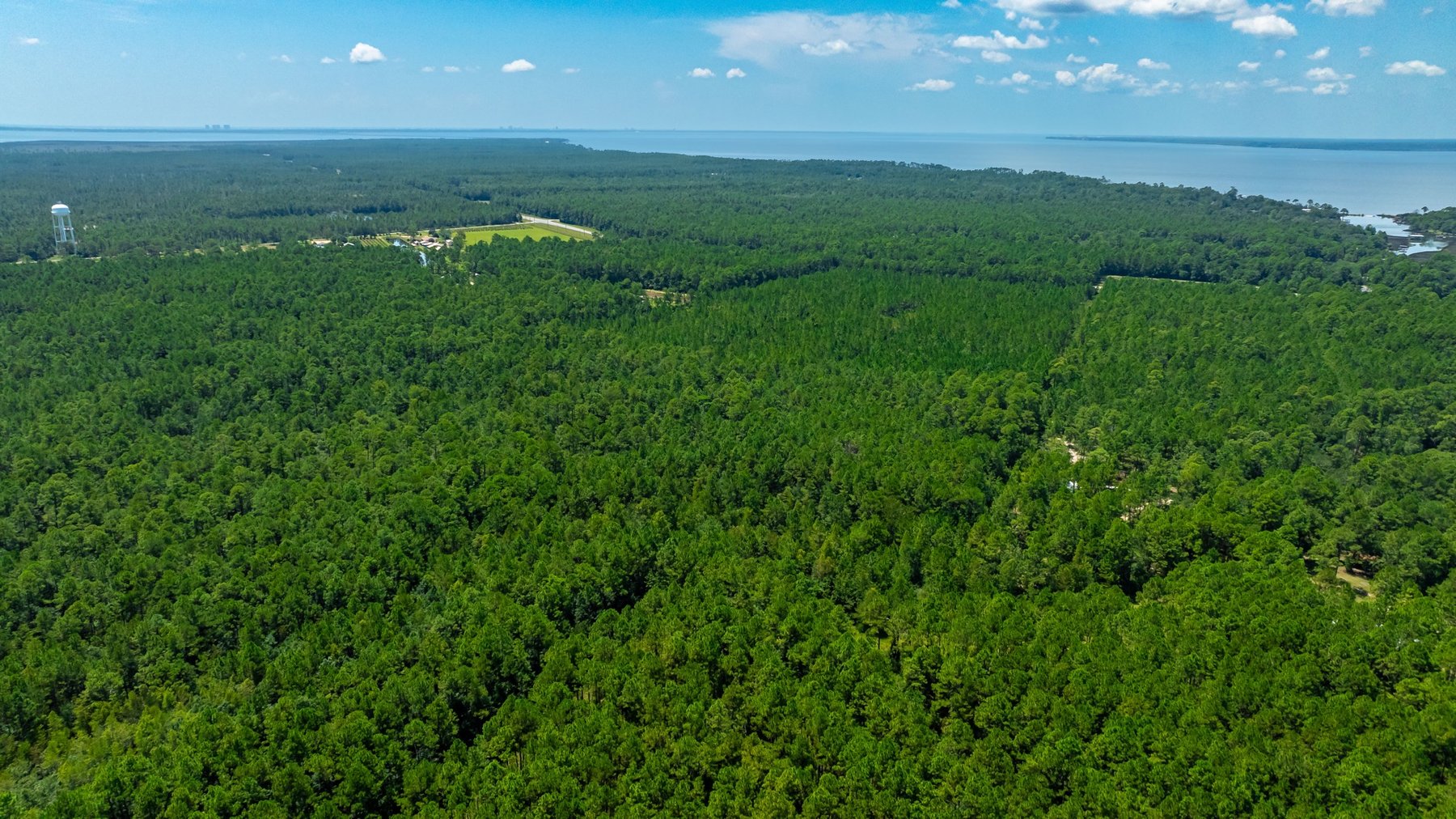 Image for 77 Acre Development Tract - Avalon Blvd. Milton FL - $495,000