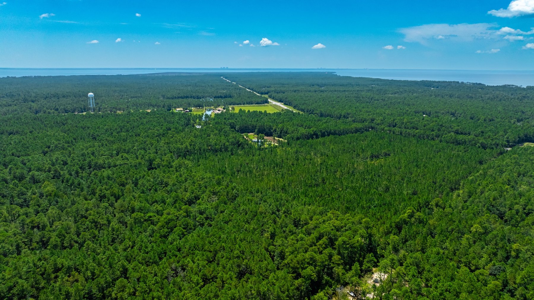 Image for 77 Acre Development Tract - Avalon Blvd. Milton FL - $495,000