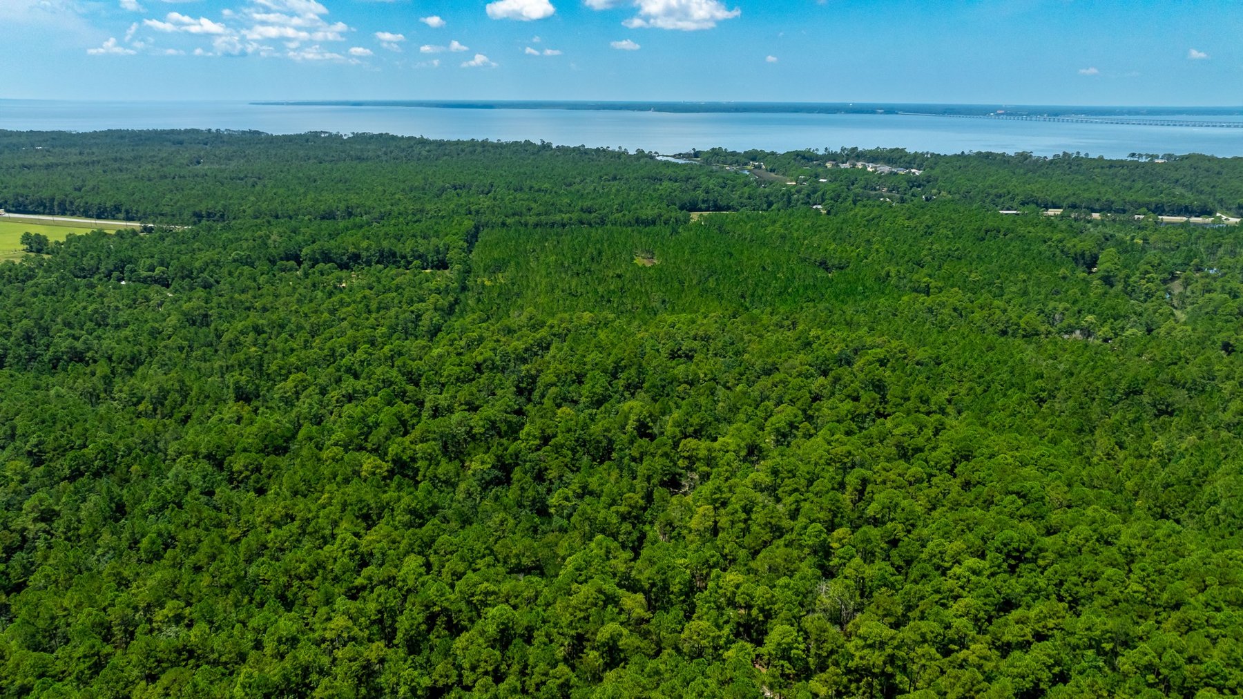 Image for 77 Acre Development Tract - Avalon Blvd. Milton FL - $495,000