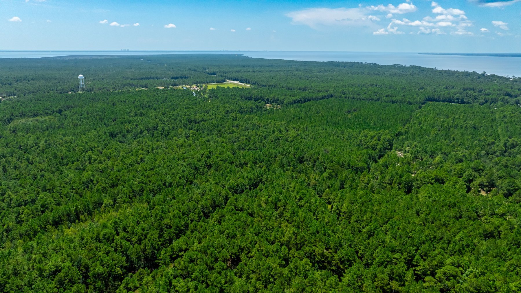 Image for 77 Acre Development Tract - Avalon Blvd. Milton FL - $495,000