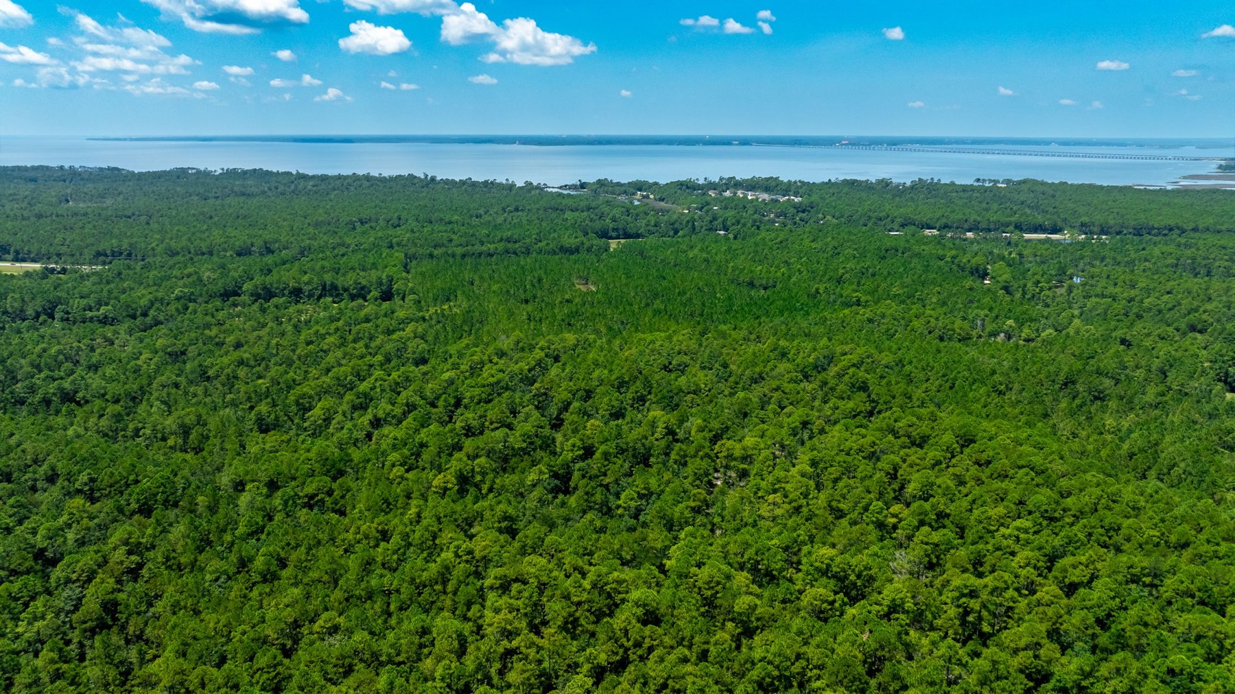 Image for 77 Acre Development Tract - Avalon Blvd. Milton FL - $495,000