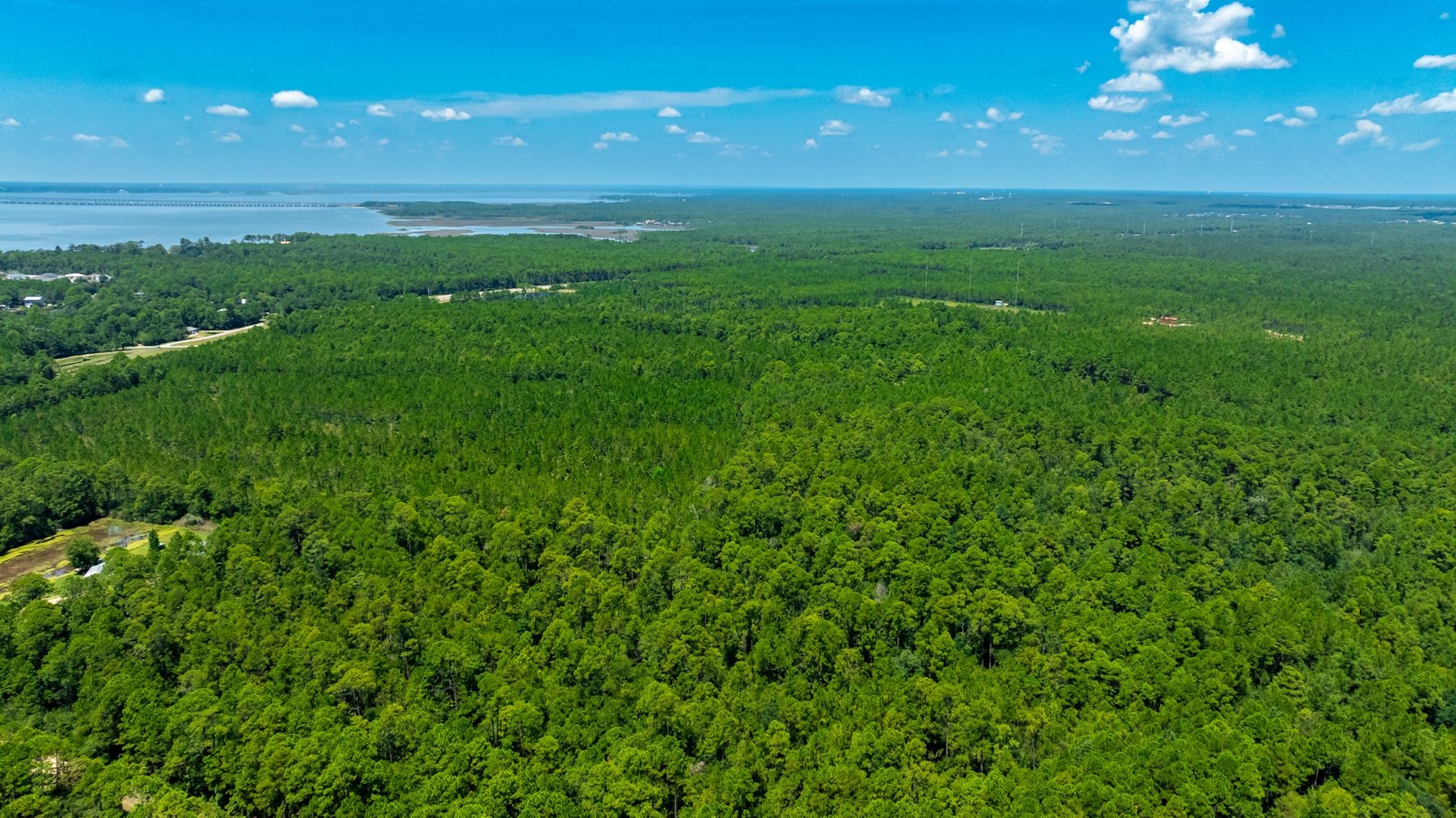 Image for 77 Acre Development Tract - Avalon Blvd. Milton FL - $495,000